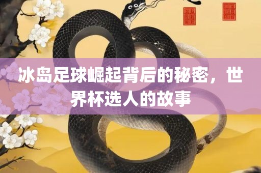 冰岛足球崛起背后的秘密，世界杯选人的故事