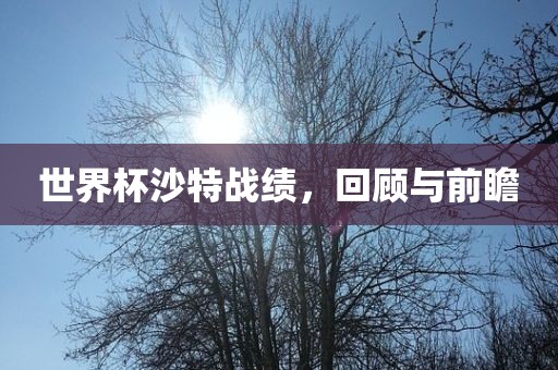 世界杯沙特战绩，回顾与前瞻