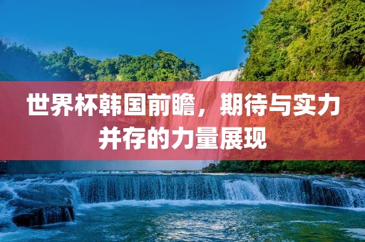 世界杯韩国前瞻，期待与实力并存的力量展现