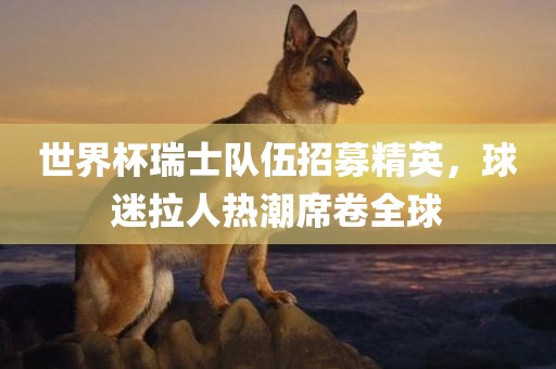 世界杯瑞士队伍招募精英，球迷拉人热潮席卷全球