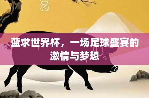 蓝求世界杯，一场足球盛宴的激情与梦想