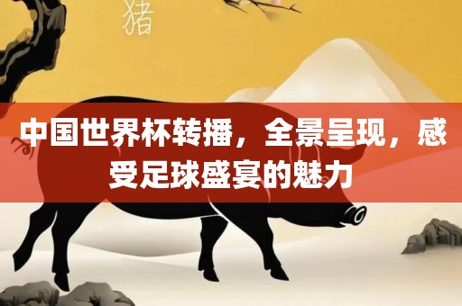 中国世界杯转播，全景呈现，感受足球盛宴的魅力