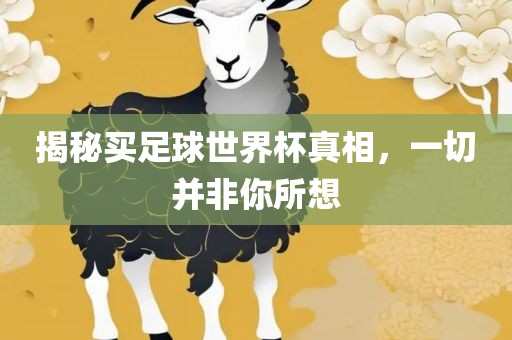 揭秘买足球世界杯真相，一切并非你所想