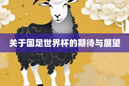 关于国足世界杯的期待与展望