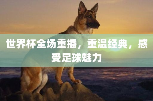 世界杯全场重播，重温经典，感受足球魅力