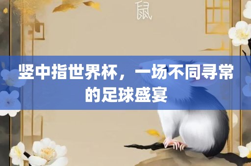 竖中指世界杯，一场不同寻常的足球盛宴