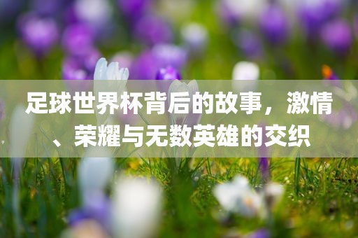足球世界杯背后的故事，激情、荣耀与无数英雄的交织