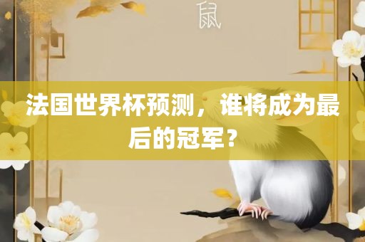 法国世界杯预测，谁将成为最后的冠军？