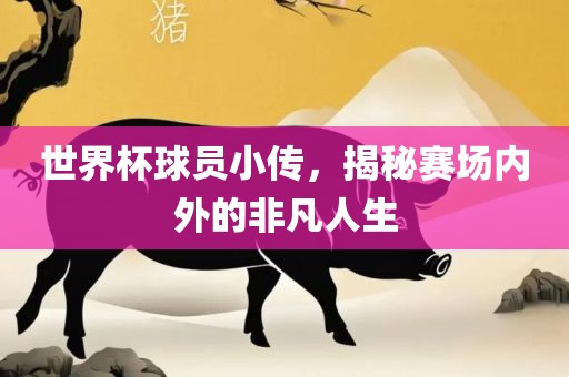 世界杯球员小传，揭秘赛场内外的非凡人生