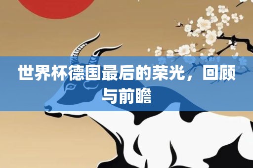 世界杯德国最后的荣光，回顾与前瞻