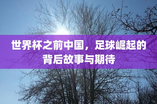 世界杯之前中国，足球崛起的背后故事与期待
