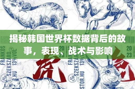 揭秘韩国世界杯数据背后的故事，表现、战术与影响