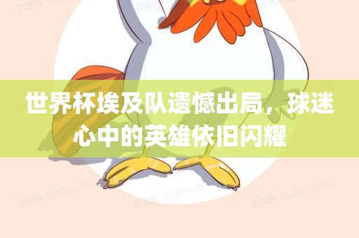 世界杯埃及队遗憾出局，球迷心中的英雄依旧闪耀