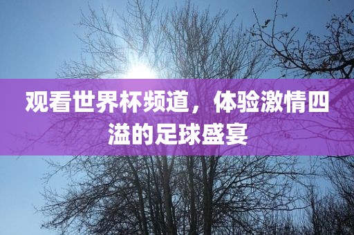 观看世界杯频道，体验激情四溢的足球盛宴