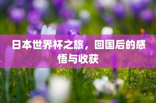 日本世界杯之旅，回国后的感悟与收获