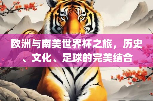 欧洲与南美世界杯之旅，历史、文化、足球的完美结合
