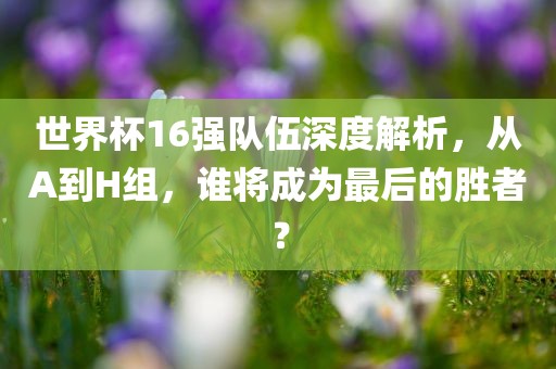 世界杯16强队伍深度解析，从A到H组，谁将成为最后的胜者？