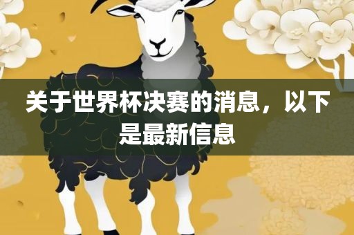 关于世界杯决赛的消息，以下是最新信息