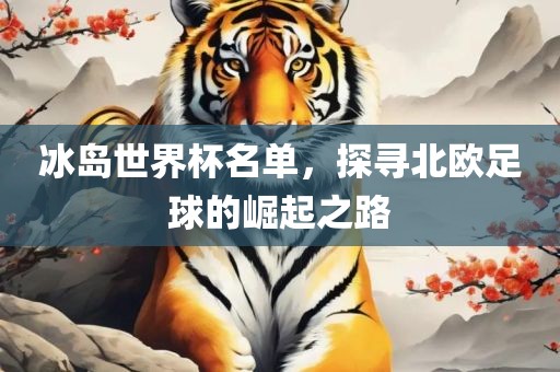 冰岛世界杯名单，探寻北欧足球的崛起之路