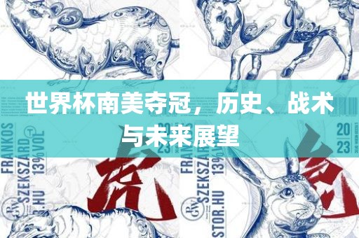 世界杯南美夺冠，历史、战术与未来展望