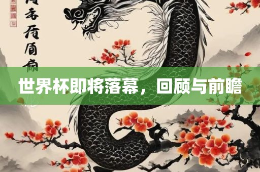 世界杯即将落幕，回顾与前瞻
