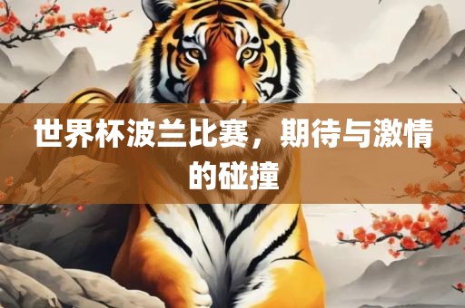 世界杯波兰比赛，期待与激情的碰撞