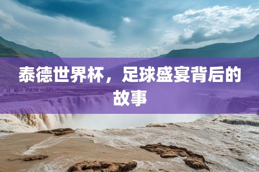 泰德世界杯，足球盛宴背后的故事