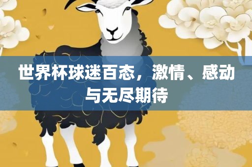 世界杯球迷百态，激情、感动与无尽期待