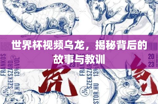 世界杯视频乌龙，揭秘背后的故事与教训