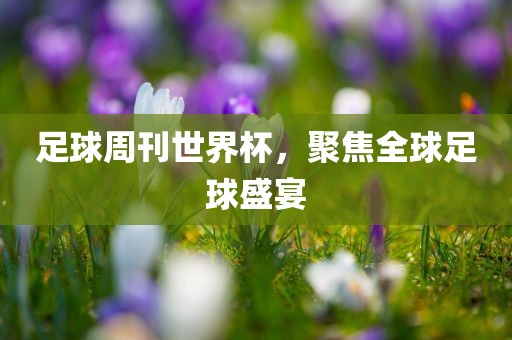 足球周刊世界杯，聚焦全球足球盛宴