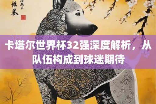 卡塔尔世界杯32强深度解析，从队伍构成到球迷期待