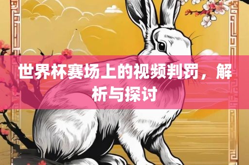 世界杯赛场上的视频判罚，解析与探讨