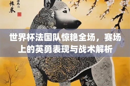 世界杯法国队惊艳全场，赛场上的英勇表现与战术解析