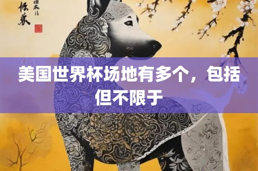 美国世界杯场地有多个，包括但不限于