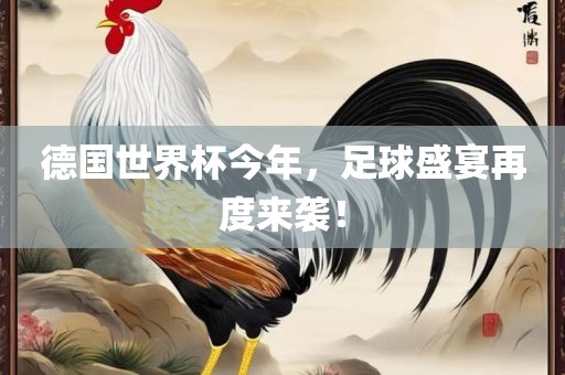 德国世界杯今年，足球盛宴再度来袭！