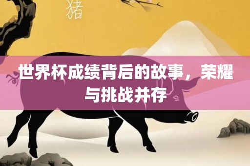 世界杯成绩背后的故事，荣耀与挑战并存