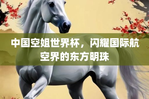 中国空姐世界杯，闪耀国际航空界的东方明珠