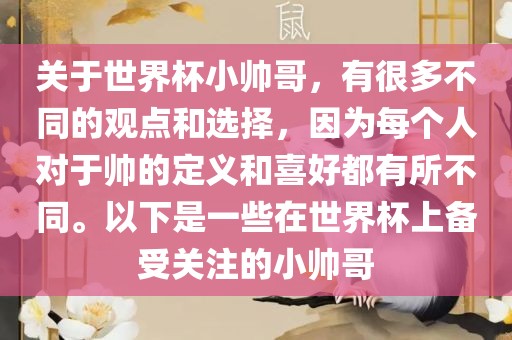 关于世界杯小帅哥，有很多不同的观点和选择，因为每个人对于帅的定义和喜好都有所不同。以下是一些在世界杯上备受关注的小帅哥