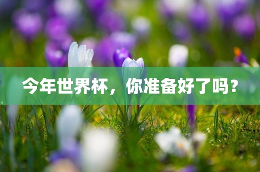 今年世界杯，你准备好了吗？