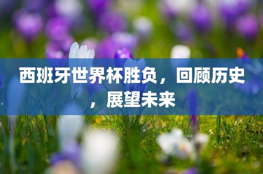 西班牙世界杯胜负，回顾历史，展望未来