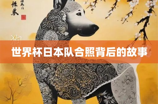 世界杯日本队合照背后的故事