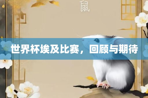 世界杯埃及比赛，回顾与期待