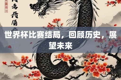 世界杯比赛结局，回顾历史，展望未来