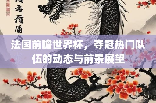 法国前瞻世界杯，夺冠热门队伍的动态与前景展望