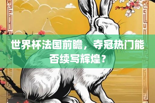 世界杯法国前瞻，夺冠热门能否续写辉煌？