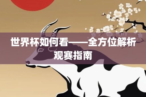 世界杯如何看——全方位解析观赛指南
