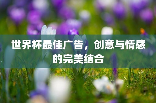 世界杯最佳广告，创意与情感的完美结合