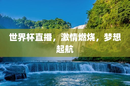 世界杯直播，激情燃烧，梦想起航