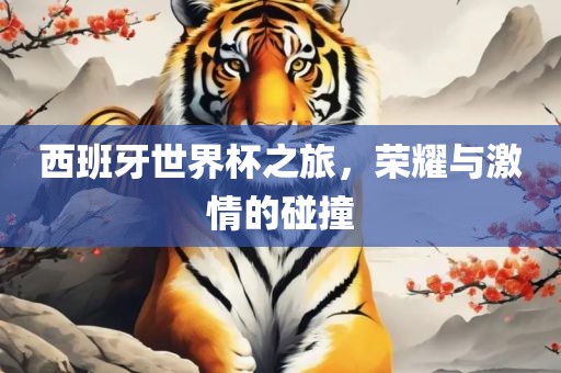 西班牙世界杯之旅，荣耀与激情的碰撞