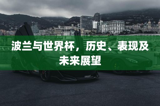 波兰与世界杯，历史、表现及未来展望